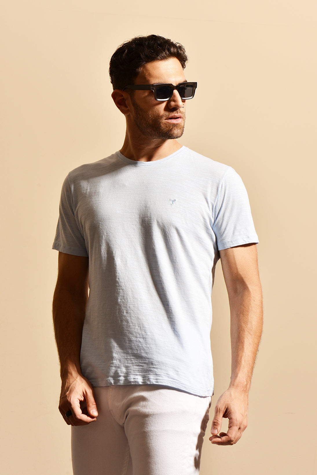 Remera Hank · FLAMÉ